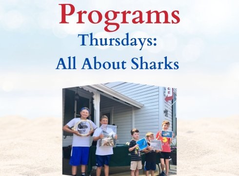 All About Sharks - Free Summer Program at Ocean City Life-Saving Station Museum