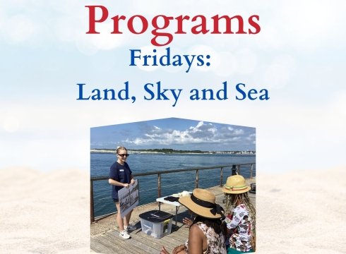 Land, Sky, & Sea - Free Summer Program at Ocean City Life-Saving Station Museum