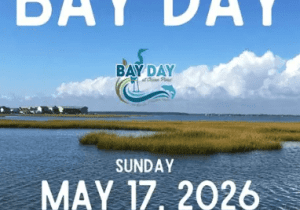 Bay Day! Make a difference in your backyard bays!