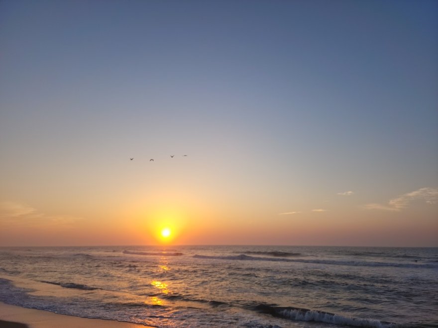 Assateague State Park