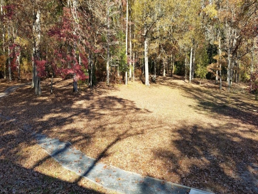 Pocomoke River State Park: Milburn Landing