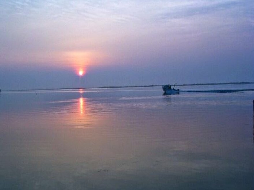 Maryland Coastal Bays Program