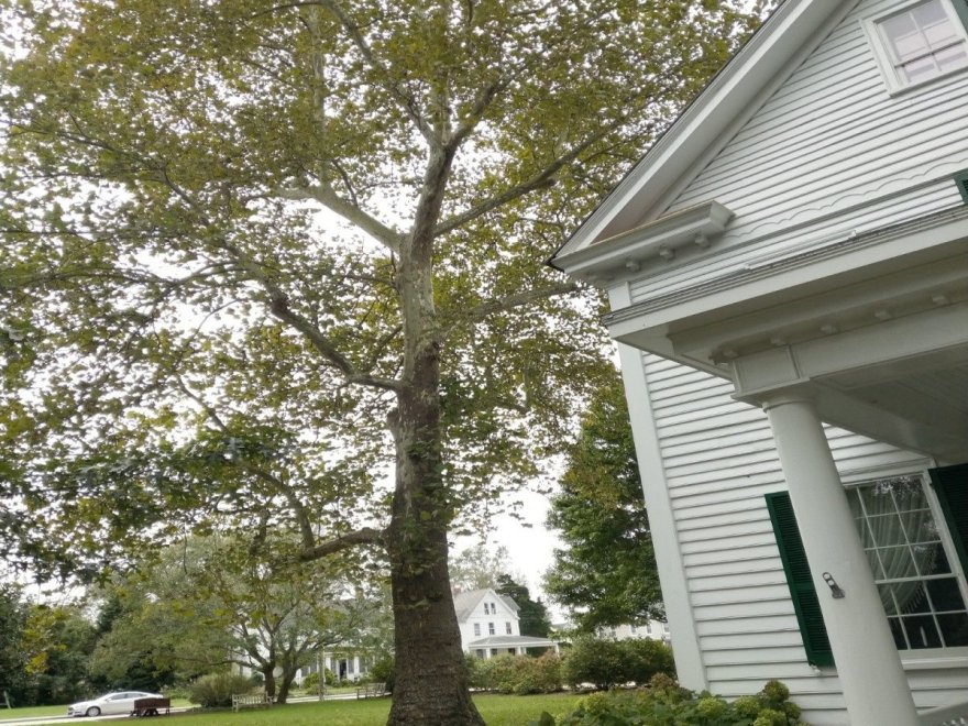 Calvin B. Taylor House