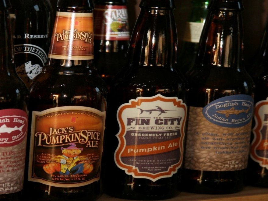 The Fin City Brewing Company  