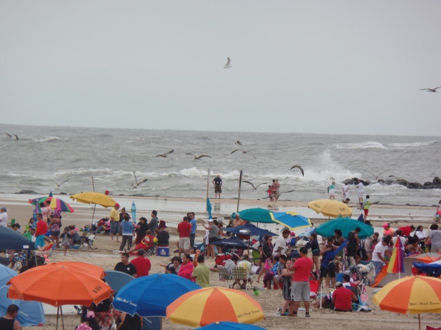 The Wrapper The Wrapper