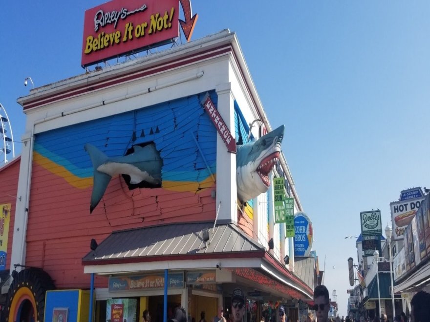 The Wrapper The Wrapper