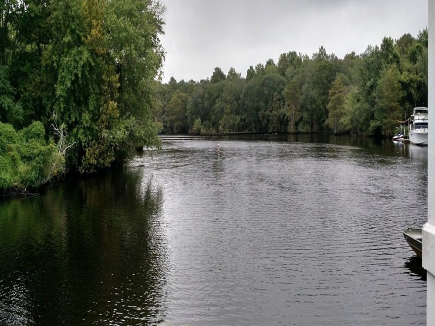 Pocomoke River Canoe Company