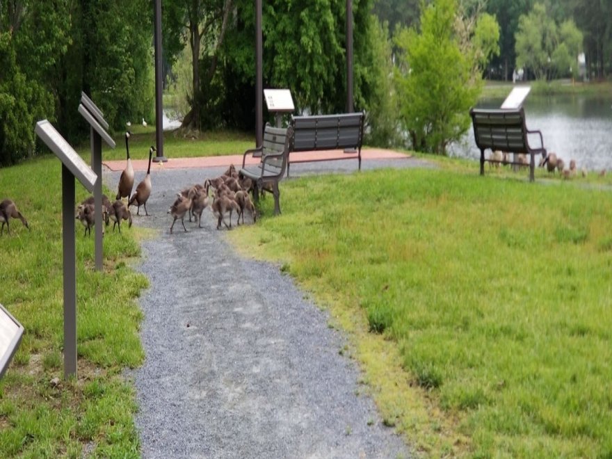 Veterans Memorial Park