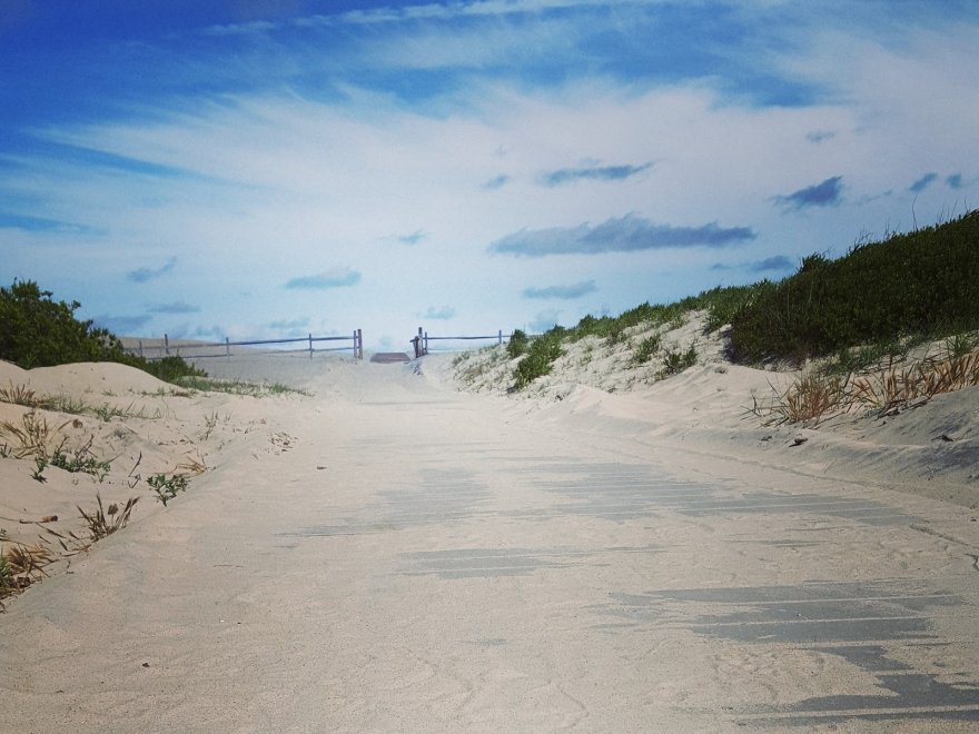 Assateague Island National Seashore - Bayside Drive-in Campground