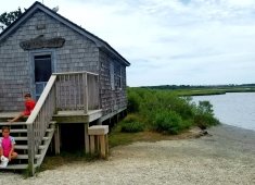 Assateague Island National Seashore - Bayside Drive-in Campground