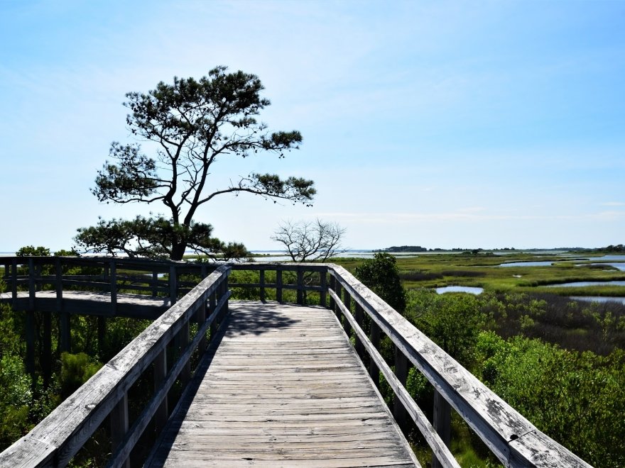 Assateague Island National Seashore - Bayside Drive-in Campground