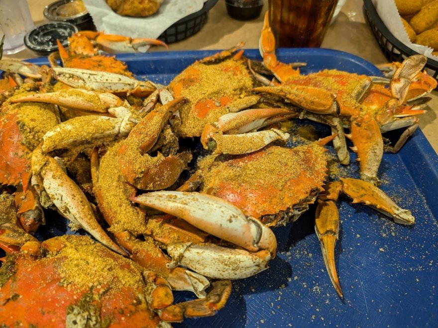 Waterman's Seafood