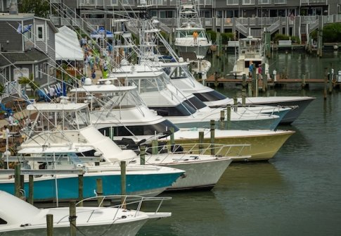 White Marlin Open 2022 in Ocean City, MD